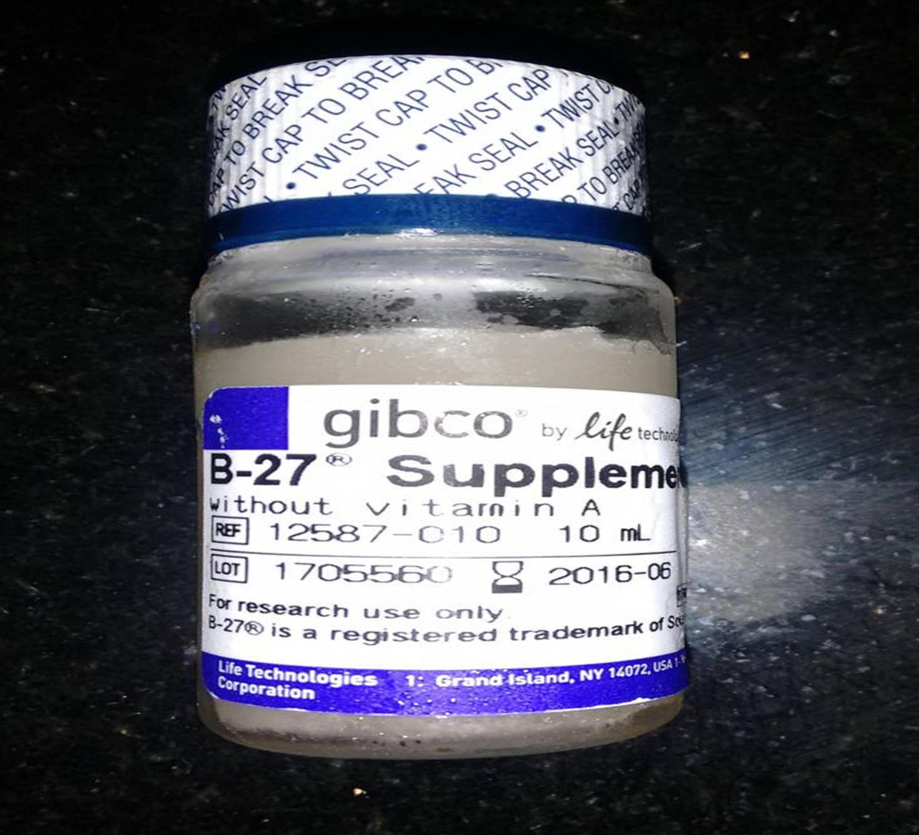 B-27 Supplement in Serum-Free Neural Stem Cell Media for